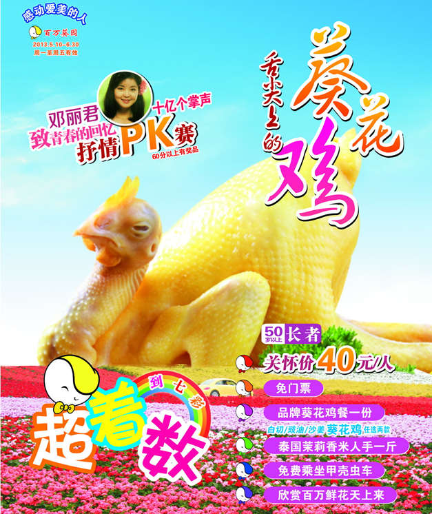 廣州百萬葵園葵花雞